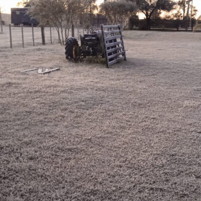 ARTIGAS BAJO CERO: FUERTE HELADA Y PAISAJE BLANCO