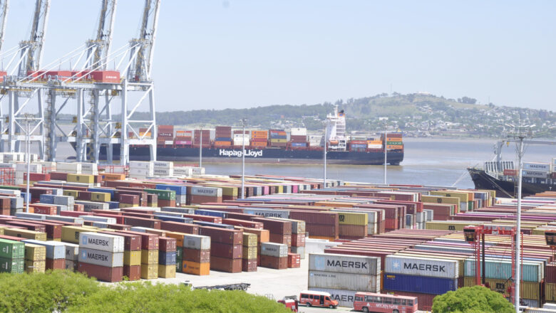 HALLAN 381 KILOS DE COCAÍNA EN AMBERES TRAS PARTIR DE MONTEVIDEO COMO UNA CARGA DE ARROZ