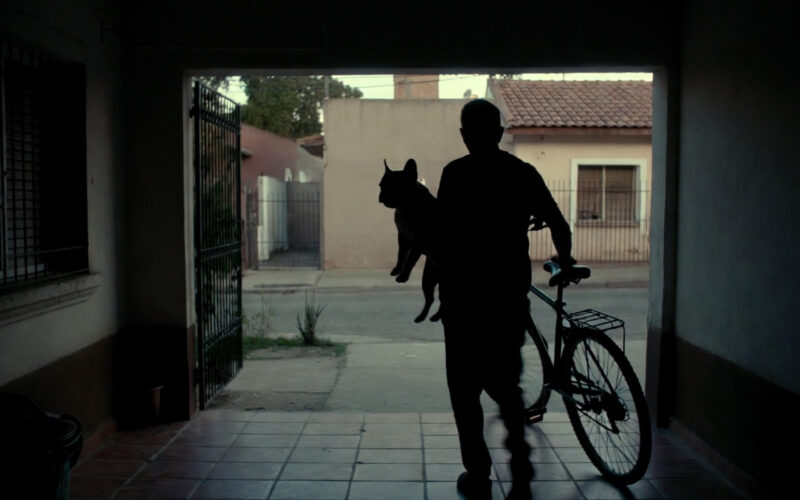 ROBARON UNA BICICLETA Y UN PERRO BULLDOG FRANCÉS