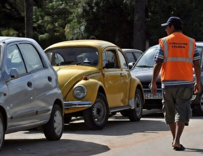 COLONIA PROHÍBE A LOS CUIDACOCHES