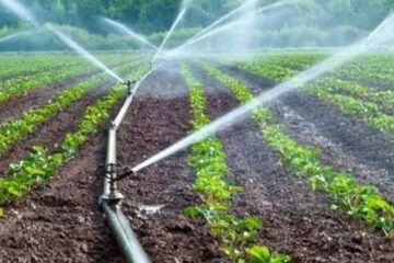 MGAP LANZA SUBSIDIOS PARA RIEGO HORTÍCOLA