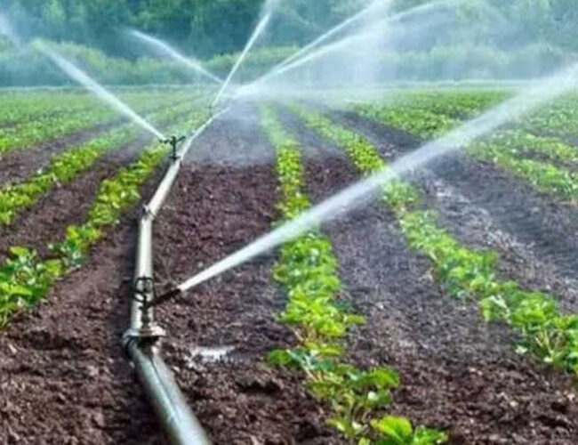 MGAP LANZA SUBSIDIOS PARA RIEGO HORTÍCOLA