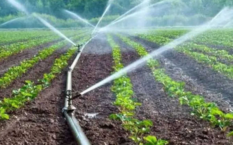 MGAP LANZA SUBSIDIOS PARA RIEGO HORTÍCOLA