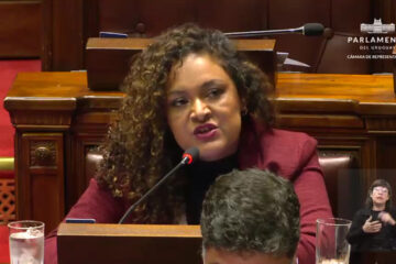 DIPUTADA BRITOS PIDE APOYO PARA ASOCIACIÓN DOWN