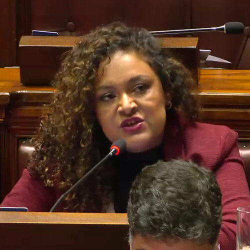 DIPUTADA BRITOS PIDE APOYO PARA ASOCIACIÓN DOWN