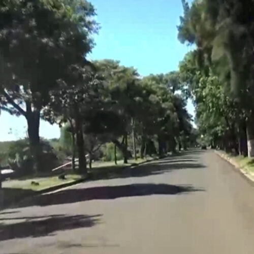 HOMBRE ATROPELLADO EN AVENIDA CARLOS M. RAMÍREZ