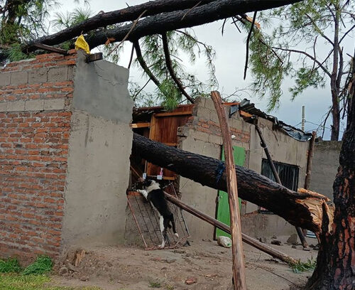TRÁGICO TEMPORAL EN SALTO DEJA UNA PERSONA FALLECIDA