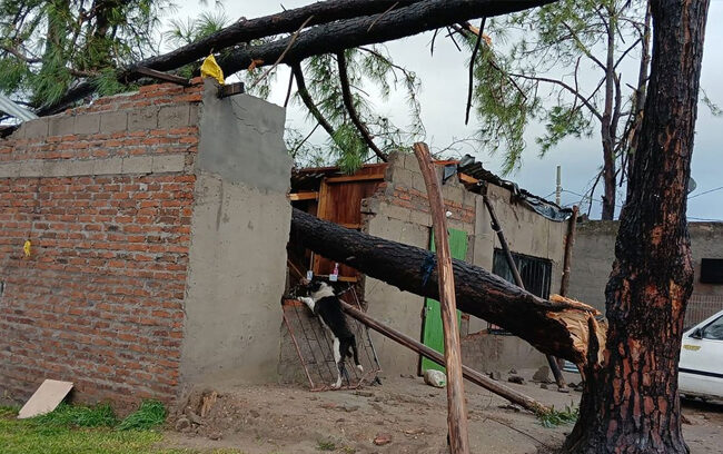 TRÁGICO TEMPORAL EN SALTO DEJA UNA PERSONA FALLECIDA