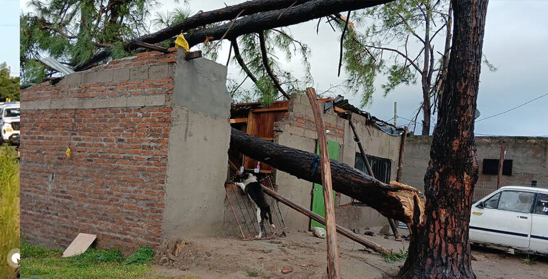 TRÁGICO TEMPORAL EN SALTO DEJA UNA PERSONA FALLECIDA